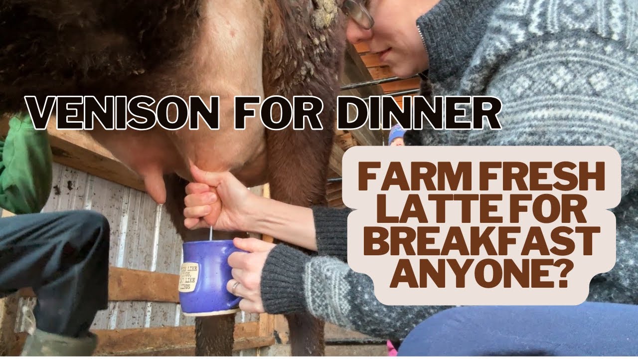 Farm Fresh Latte For Breakfast Anyone?
