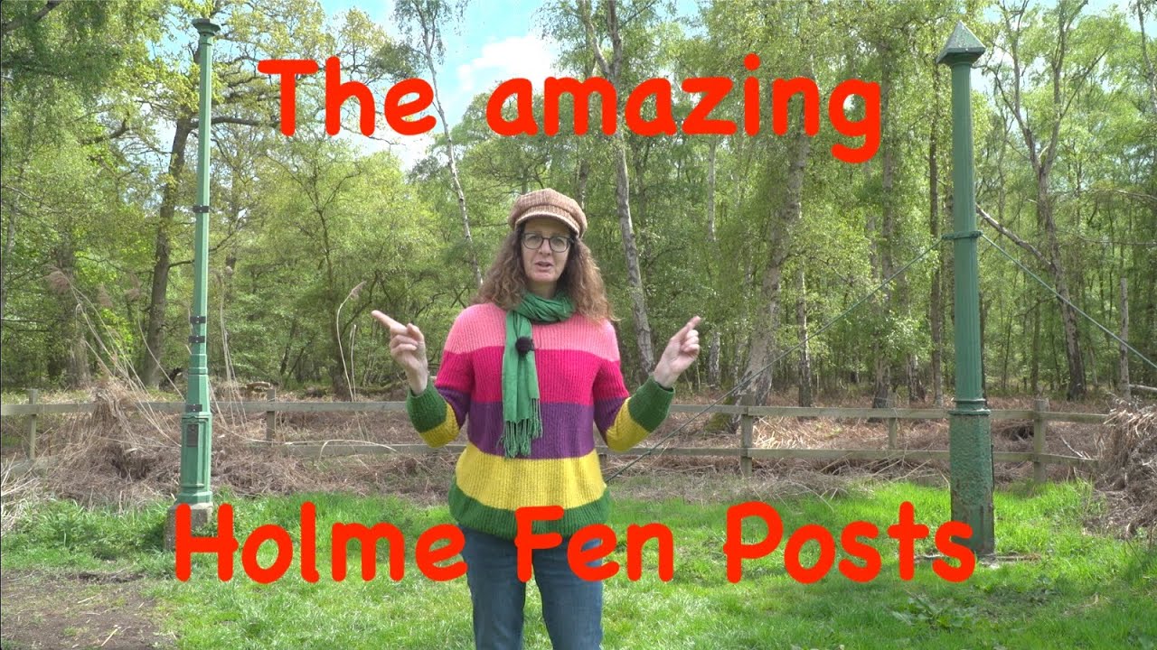 The amazing Holme Fen posts