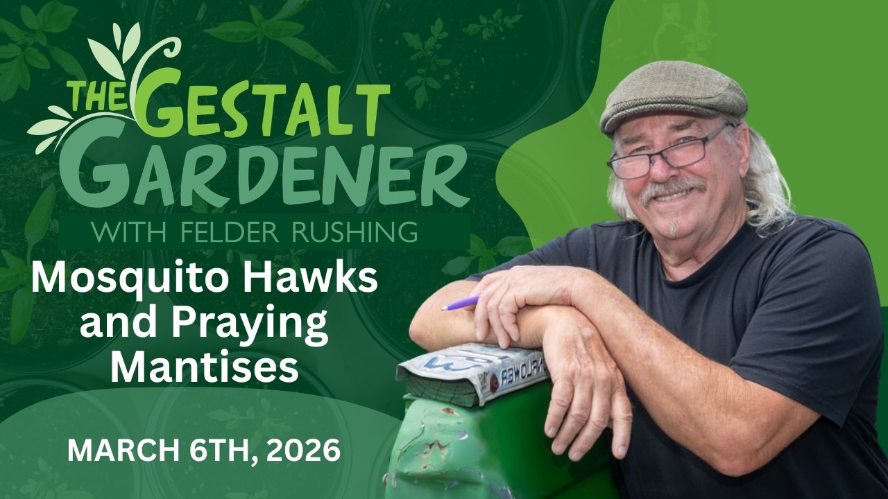 The Gestalt Gardener - March 6, 2026