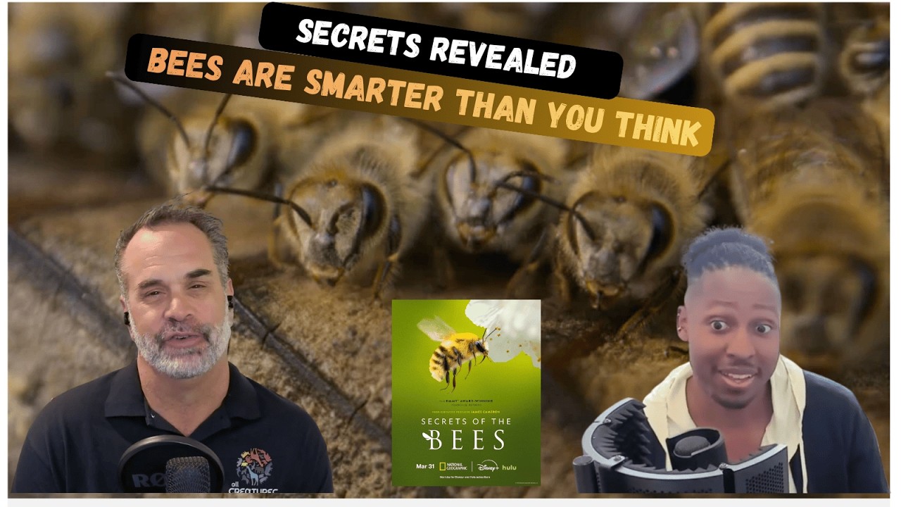 Bees Are Smarter Than You Think: Secrets Revealed w/Dr. Sammy Ramsey