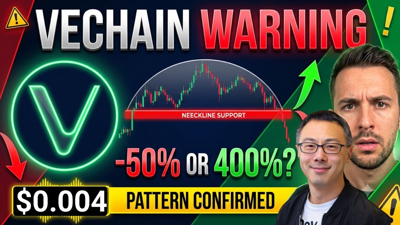 VeChain вот-вот упадет на 50%, а затем произойдет взрывной рост на 400% &mdash; вот точная картина разв...