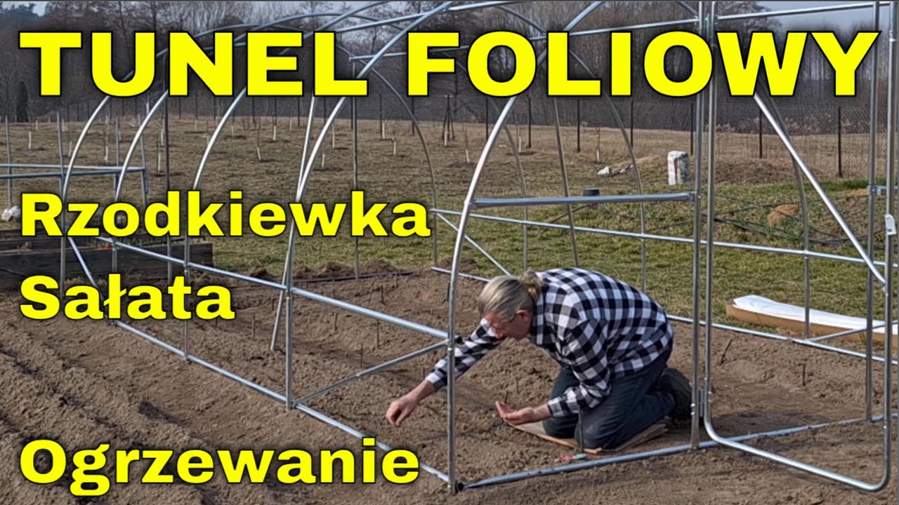 Wysiew SAŁATY i RZODKIEWKI w Tunelu foliowym. Siejemy nasiona warzyw w FOLIAKU. Jak OGRZEWAM tunel.
