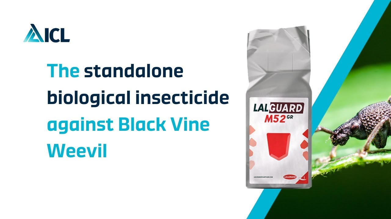 Lalguard M52 GR Technical Information