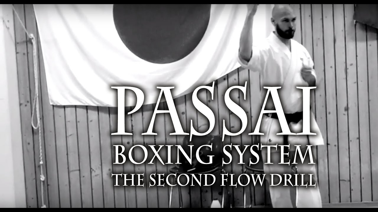 Johannes Regell -  Passai Boxing System ep 2 - the Second Flow Drill