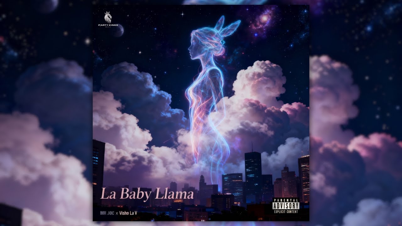 LA BABY LLAMA | MR JOC X VISHO LA V PROD. PARTY KINGS MUSIC 