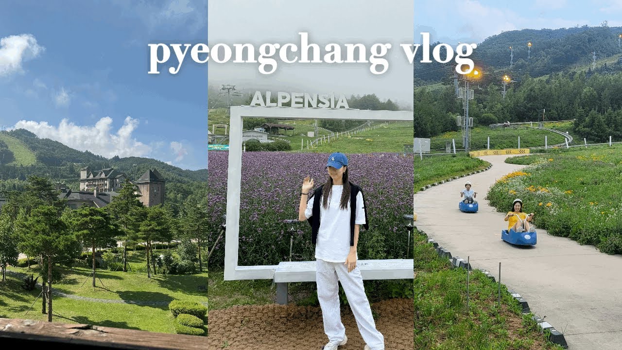 [vlog] 한여름 강원도 브이로그🌿 | 평창 알펜시아 인터컨티넨탈 | 루지, 알파인코스터