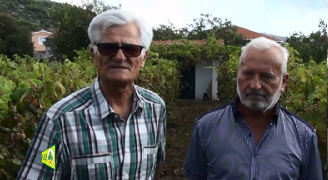 Pepelnica bez pesticida Sjeme d.o.o.