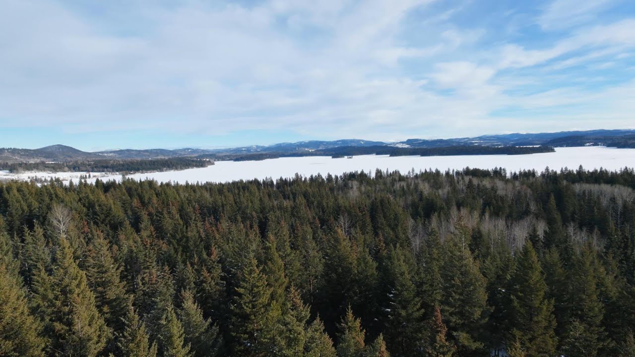 Flight Vlog #35 - Sunny day to go for a rip (@ the cabin) - DJI NEO2
