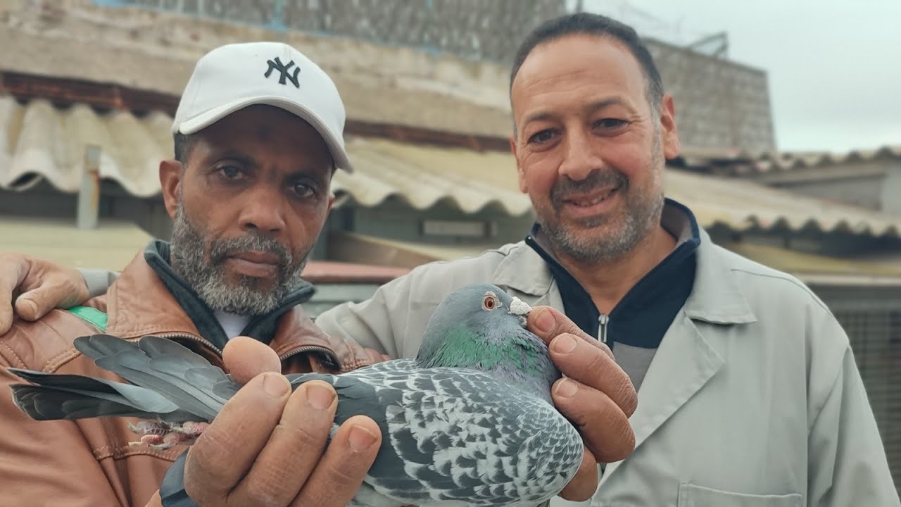 زيارة عند البطل الكبير عمر بيظوري والسلالة الجديدة 11/02/2023