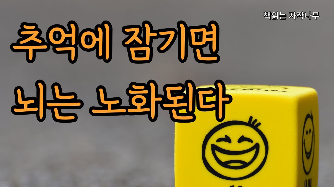 다양한 감정을 경험하는 것이 정신에 좋다 [나는 왜 생각이 많을까]