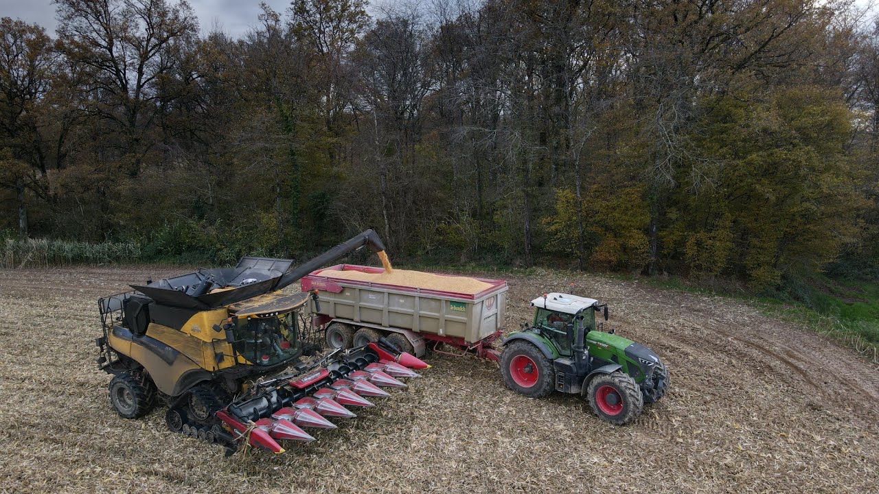 Moisson de Maïs 2021