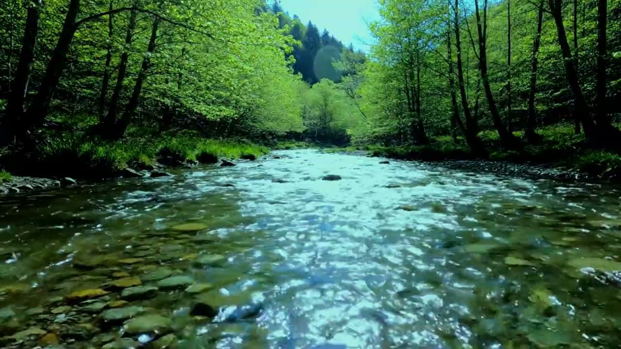 Relaxing sounds Highland Peat Bog Stream and Gentle Wind for Anxiety Reduction and Sleep