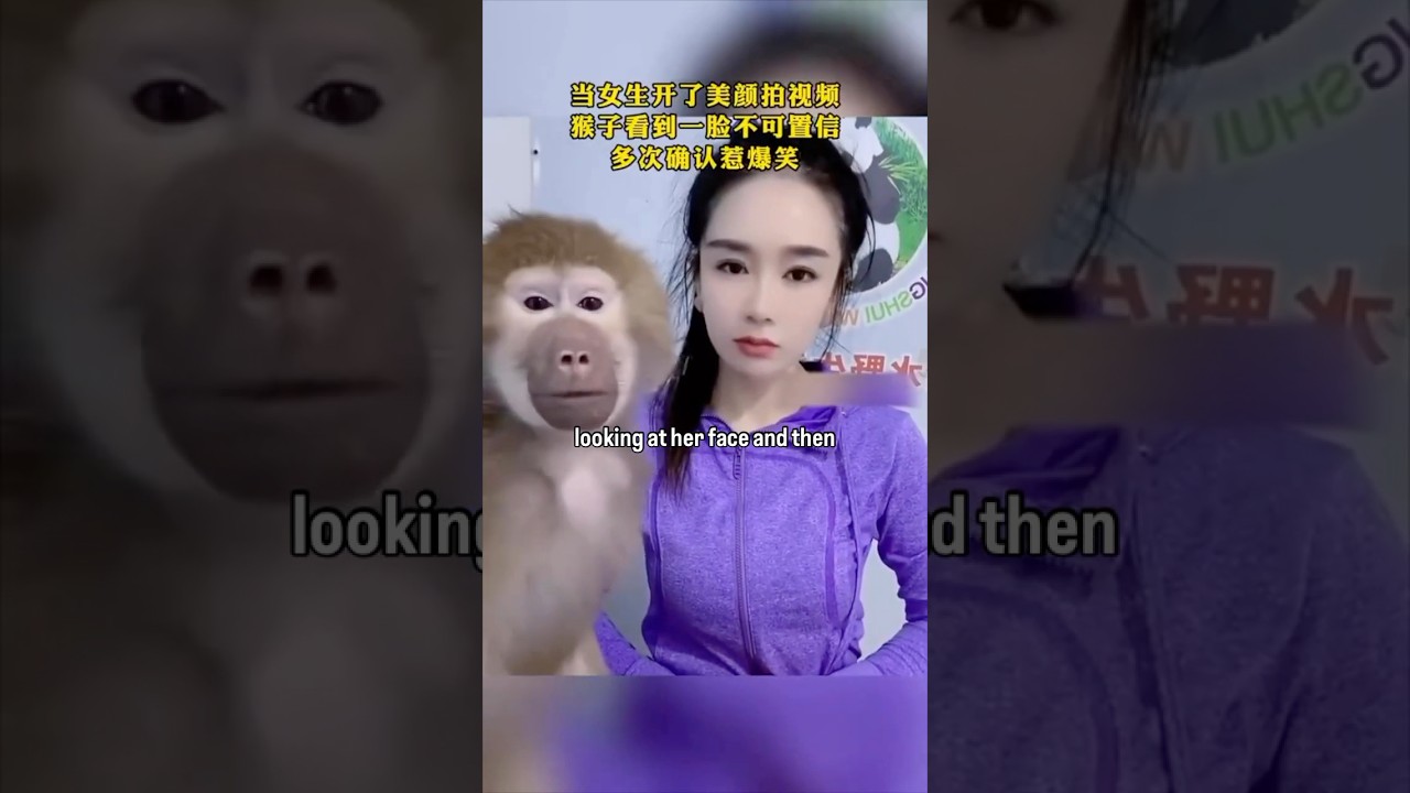 Chiny podrabiają piękno 3