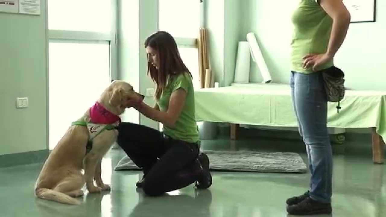 Pet Therapy - UAM Umanimalmente video di presentazione