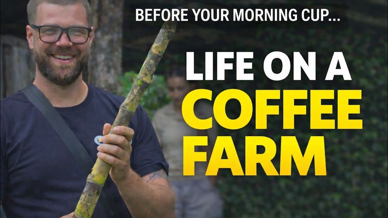 What Life Is REALLY Like on Colombia’s Small Coffee Farms 🇨🇴☕