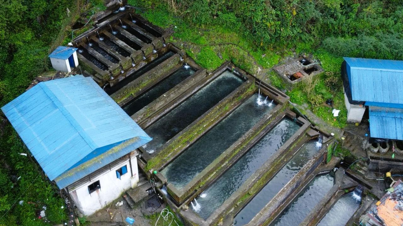 cheapest trout fish farm near kathmandu || nakakarjung gaupalika || newakot