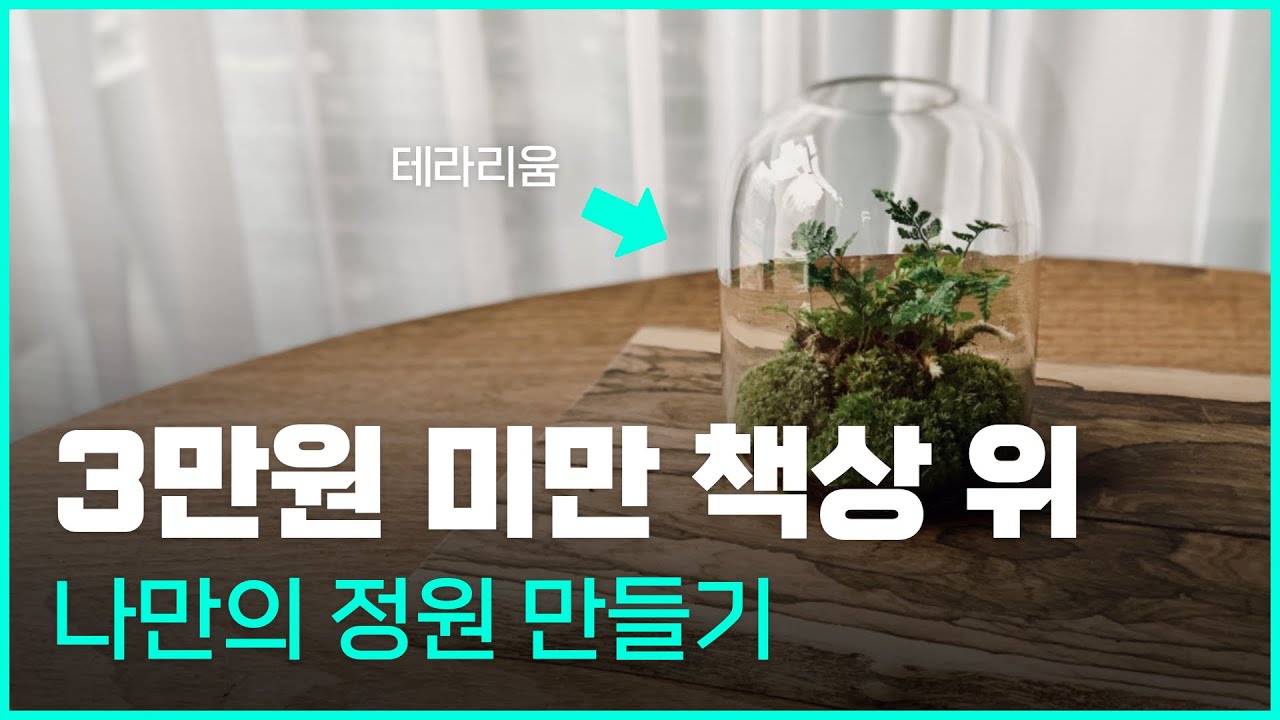 책상 위 나만의 작은 힐링 정원 만들기 - 테라리움이라고 아세요?