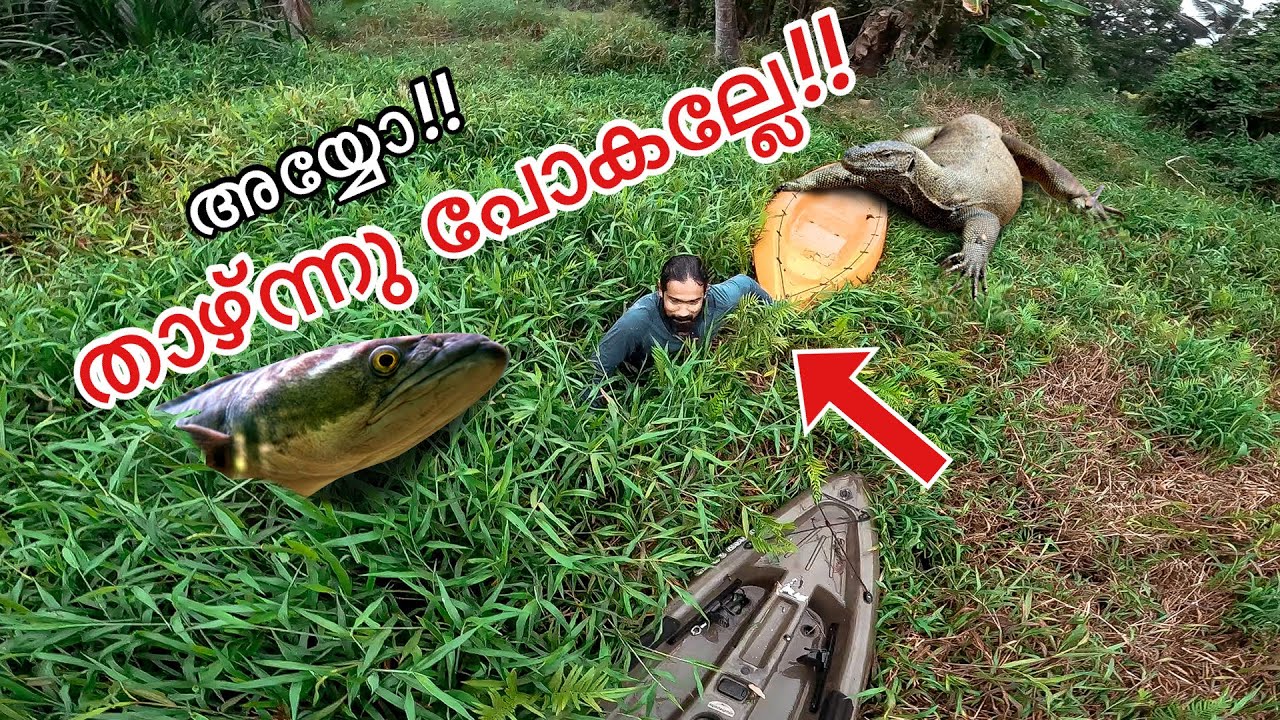 💥ചൂണ്ട ഇടാൻ ഇറങ്ങിയത് ചതുപ്പിൽ | Accidentally we Fished here