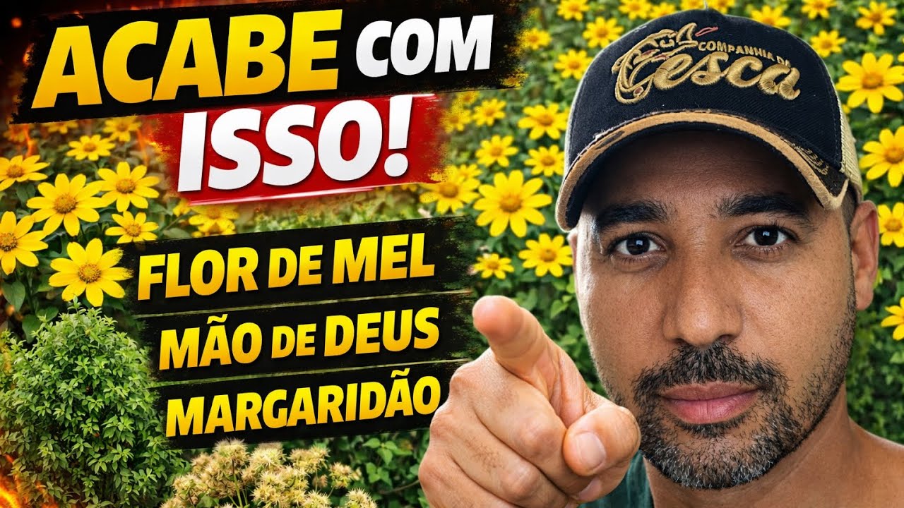 👉 Flor de Mel Nunca Mais! Como Acabar com Margaridão, Flor de Mel e Margaridão de Verdade!!