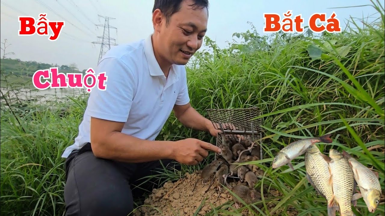Lần Đầu B.ẫy Chuột Và Kiếm Cá Về Tầm Bổ Trứng Vịt Đẻ...
