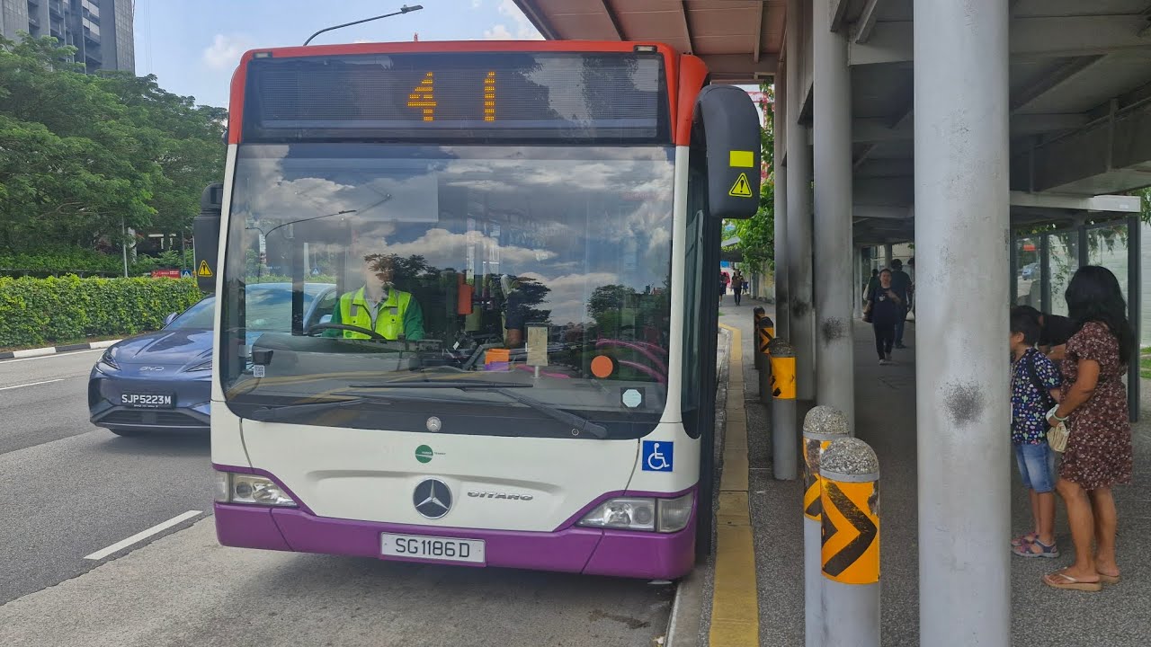 Tower Transit Bus Service 41 Mercedes-Benz O530 Citaro Batch 3 SG1186D 