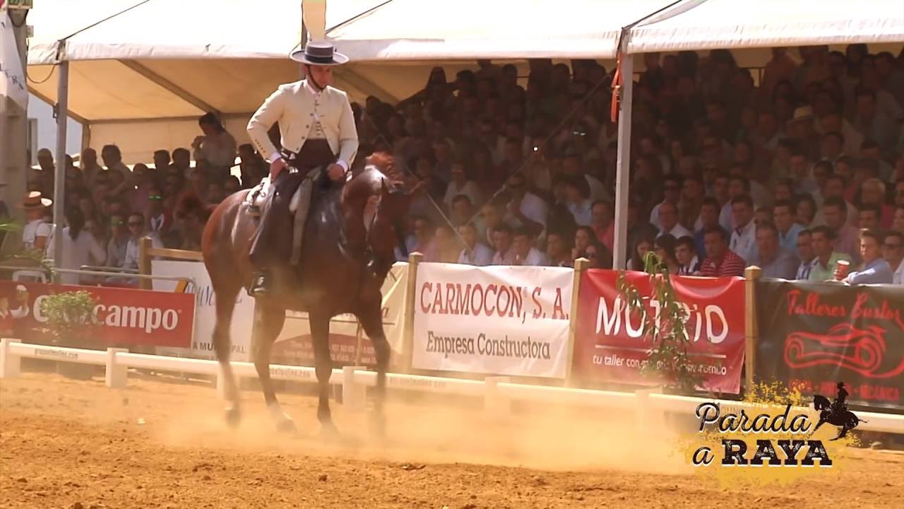 Amador Martín López con Indiano. Tercer clasificado del Campeonato de Andalucía 2016. Carmona