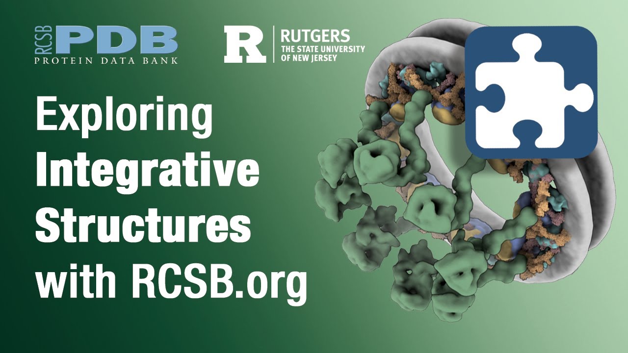 Изучение интегративных структур с RCSB.org