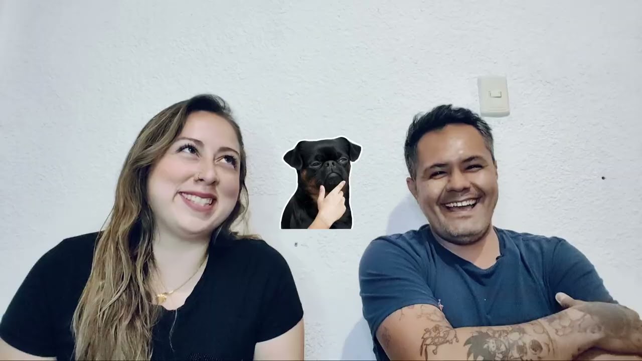 La intro 🤪