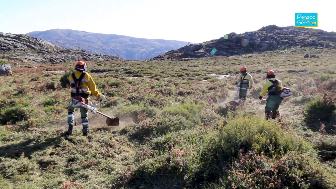 Corpo Nacional de Agentes Florestais do PNPG - Reportagem 2 - 2019 | Peneda Gerês TV