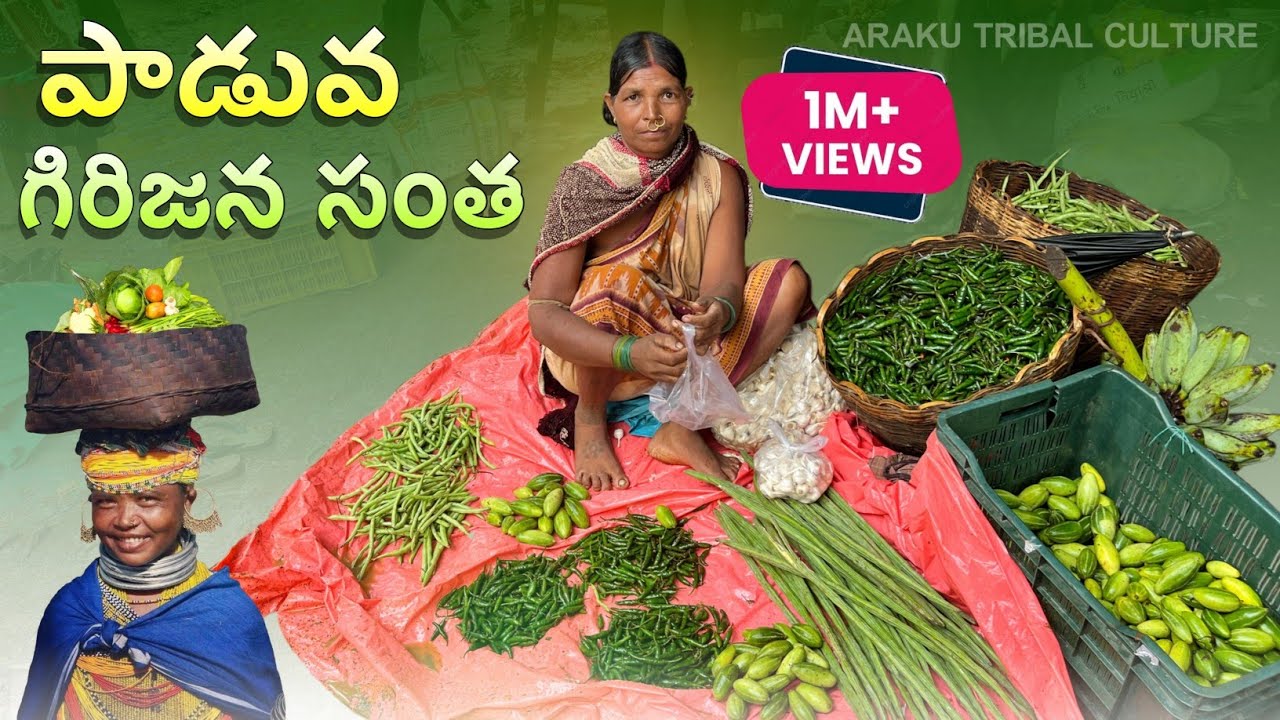 ఒడిస్సా - పాడ్వ గిరిజన సంత | దేశంలోనే సంతల్లో మొదటి రాష్ట్రం | Padua Tribal Market | Odisha