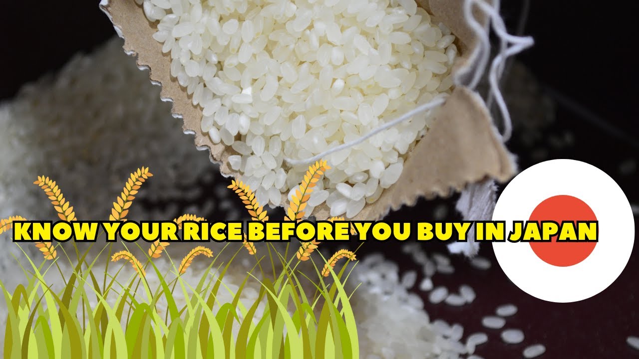 Pre-washed Japanese rice vs unwashed