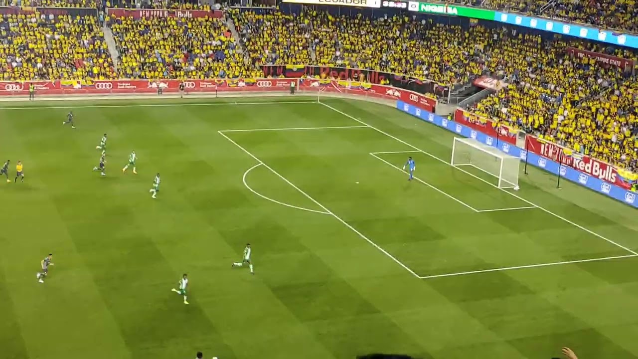 partido ECUADOR vs Nigeria