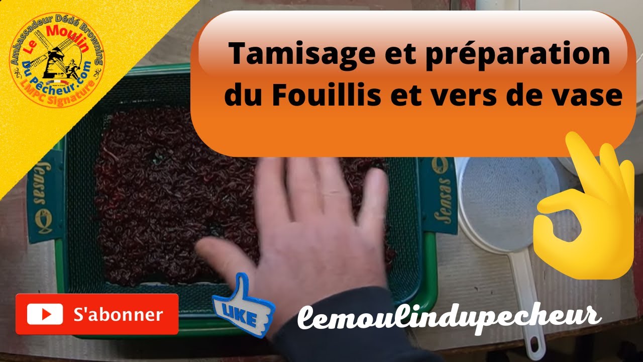 Conservation et tamisage du fouillis de ver de vase...