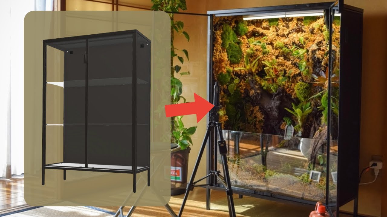 IKEA ルードスタ ジャングル化 （DIY 温室 パルダリウム）