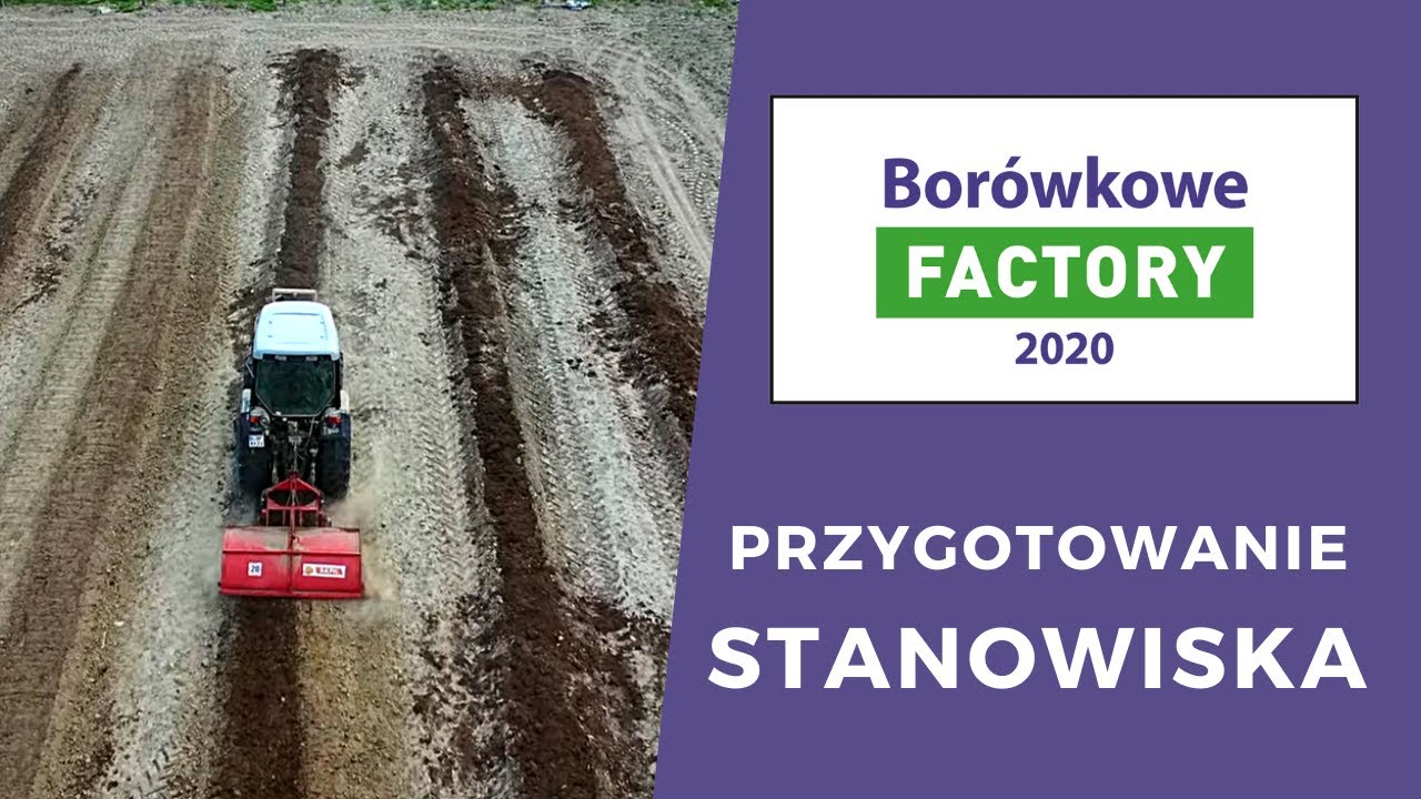 Borówkowe Factory 2020 - przygotowanie stanowiska trwało 3 lata
