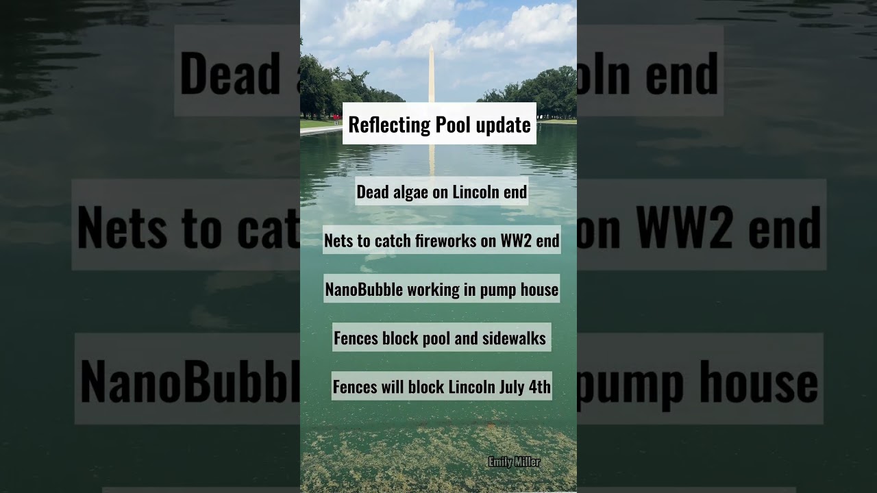 July 4th at Lincoln Memorial Reflecting Pool