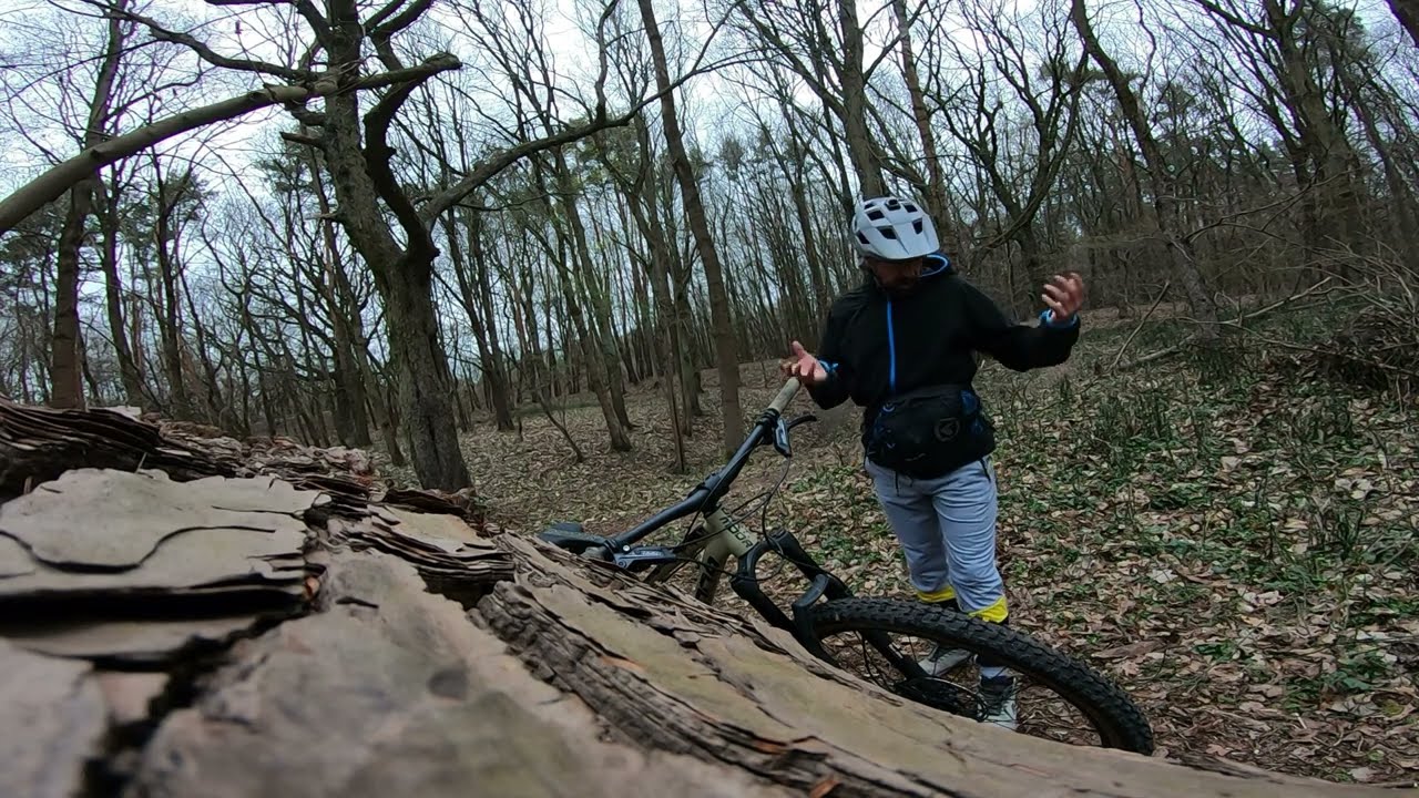 Mtb#1-2022  lasek Dębina