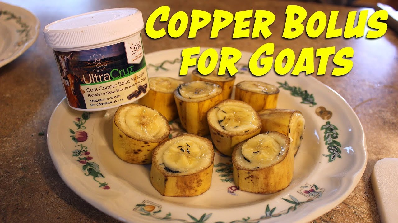 Copper Bolus for Goats