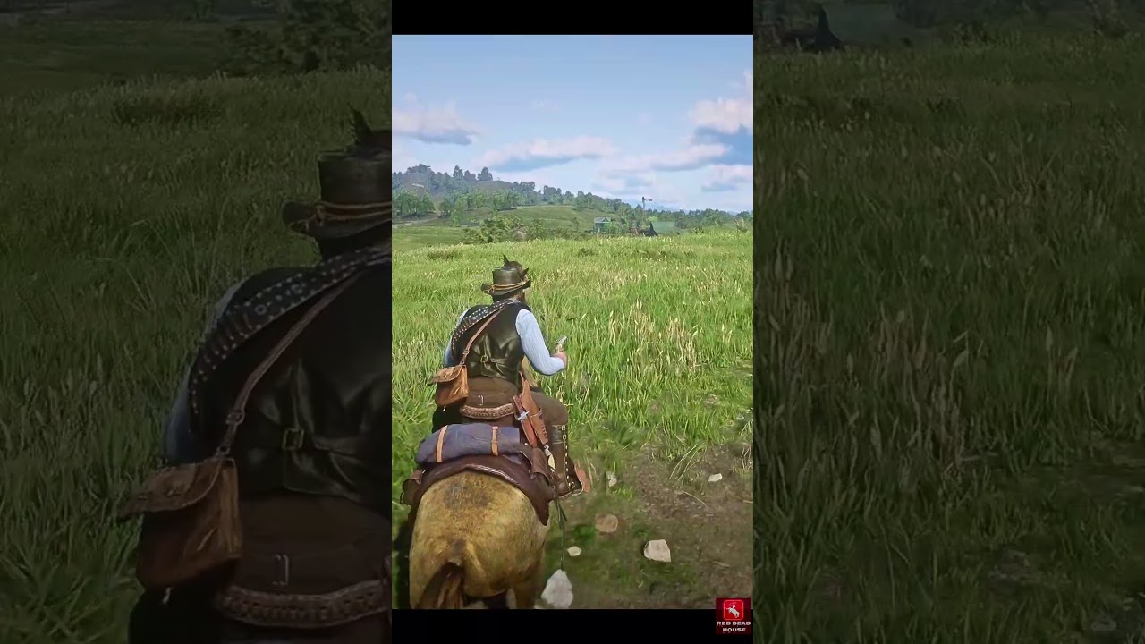 Random moments in this game are so better #rdr2 #shorts