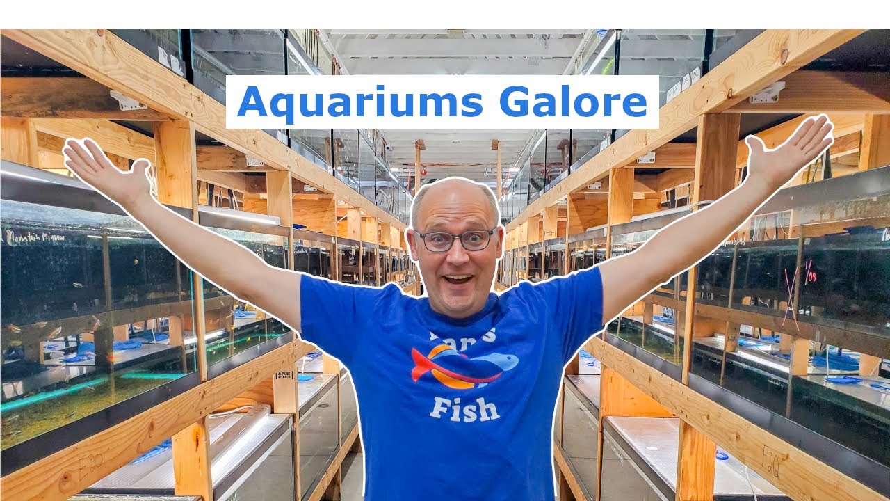 HUNDREDS of Aquariums! HUGE fish warehouse tour.