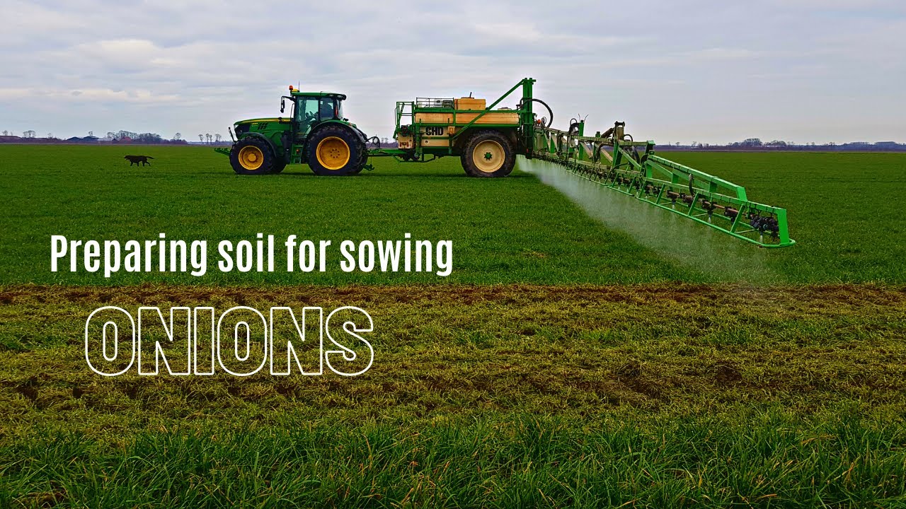 Spraying Glyphosate or Roundup to prepare for tillage January 2021-onion farming