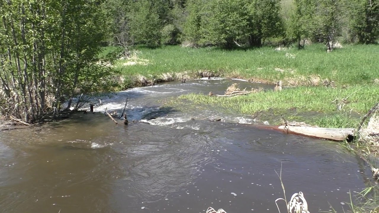 Floodplain connection at the upstream end of the project!