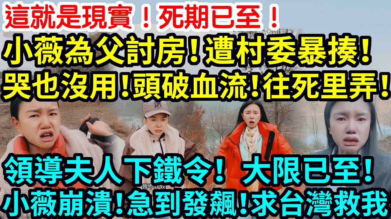 這就是現實！死期已至！小薇為父討房！遭村委暴揍！哭也沒用！頭破血流！往死里弄！領導夫人下鐵令！大限已至！小薇崩潰！急到發飆！求台灣救我！
