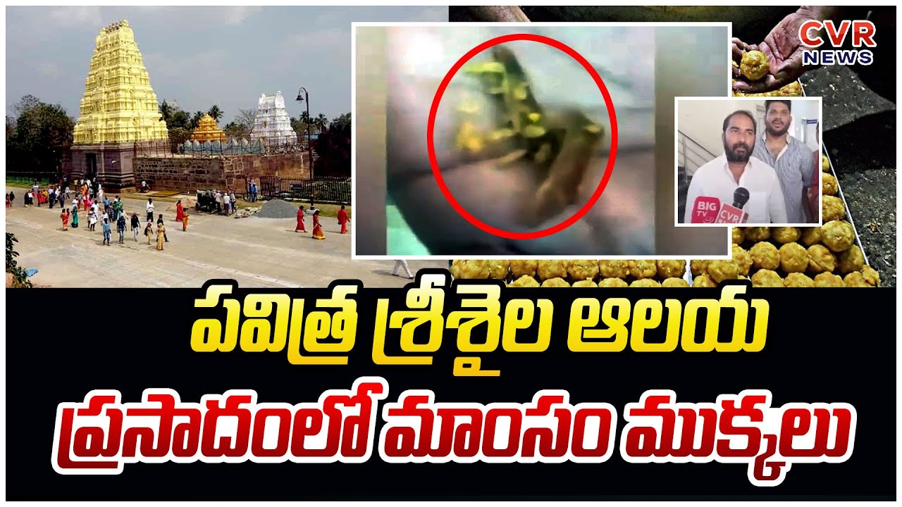 పవిత్ర శ్రీశైల ఆలయ ప్రసాదం లో మాంసం ముక్కలు | Srisailam Mallikarjuna Temple | CVR NEWS