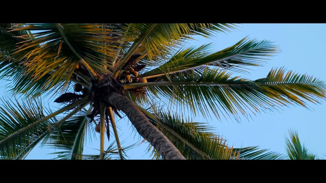 Antoinette De Haan - Take me to the island (Officiële Videoclip)