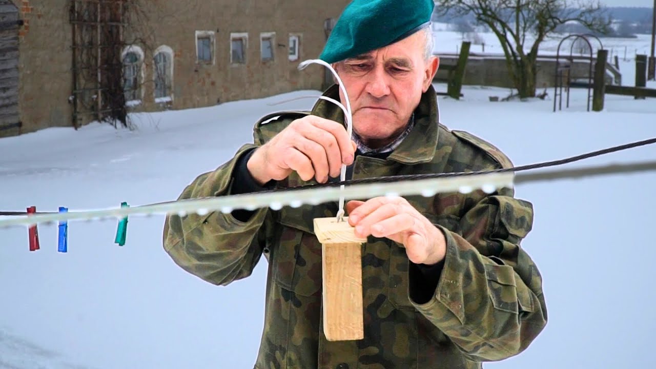 Pomysłowy karmnik dla sikorek. Jak zbudować, by sroki nie wyjadały? | Romek Zaklinacz Byków