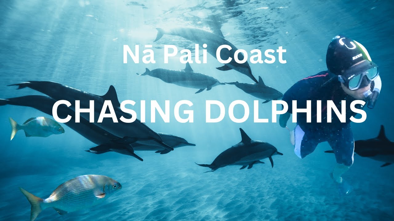 Nā Pali Coast : Hawaiian Dolphins