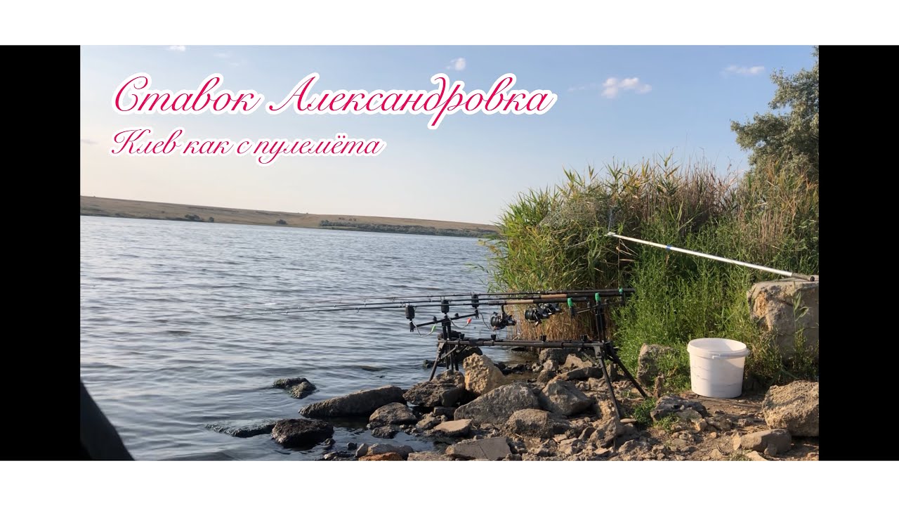 Ставок Александровка (Херсонская) клюёт как с пулемёта!!! Батя остался доволен рыбалкой😉👍