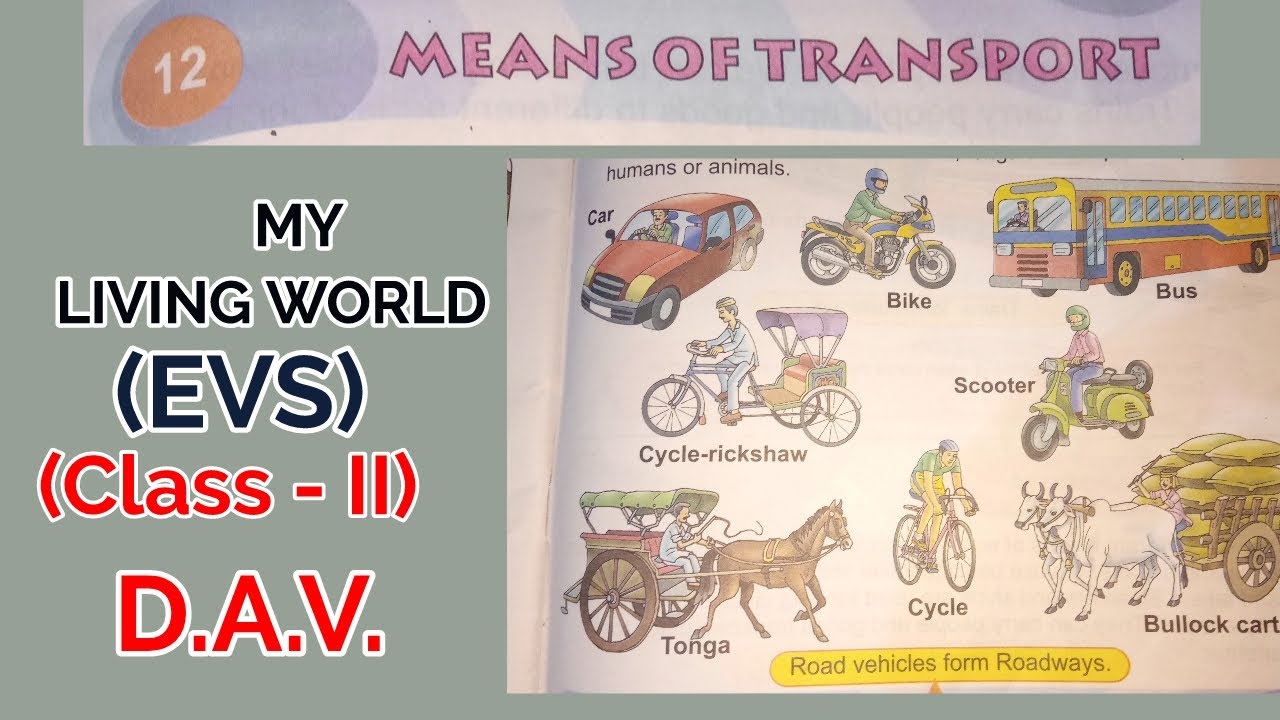 My Living World,EVS, Class II, DAV Public School, Chapter 12 Means of transport