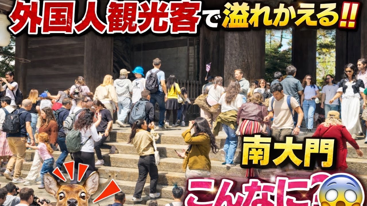 こんなに？外国人観光客で溢れかえる‼️南大門　奈良公園🦌